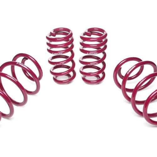 Vogtland Sport Lowering Springs VW T6, type 7HM, 7HC, 7JO, incl. 4WD